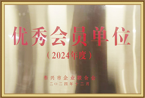 2024年泰兴企业联欢会优秀会员单位